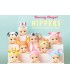 Sonny Angel Hipper Series Limited Collection