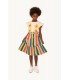 Multicolor Stripes Long Skirt