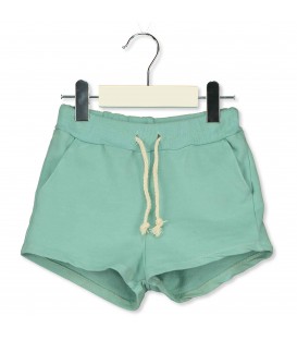 Sea Green Solid Shorts
