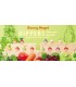 Sonny Angel Hippers Harvest Series Limited Collection