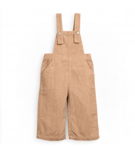 Corduroy Dungarees Art