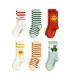 Camp Rodini 6-pack Socks