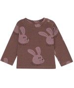 Rabbit Brown Baby Tshirt