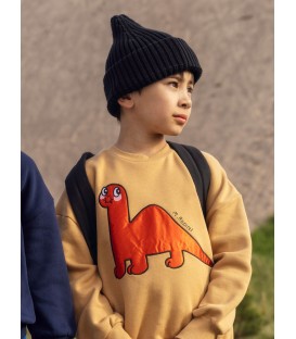 Dino Application Sweatshirt 