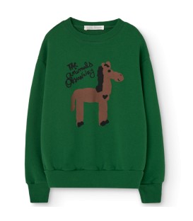 Camisola Bear verde escura