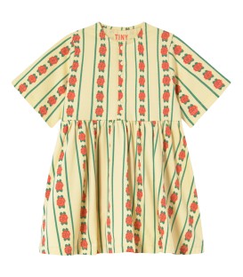 Vestido c/padrão Rosa