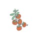 Calções Juicy Tomatoes