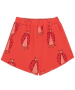 Ladybug all over Shorts