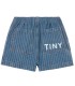 Stripes Denim Shorts