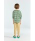 T-shirt m/comprida Anteater às riscas verdes