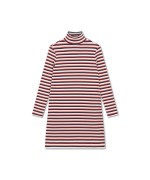Turtle Tube Dress Ivy Stripe