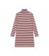 Turtle Tube Dress Ivy Stripe