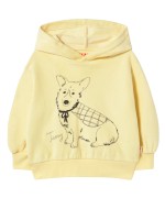 Tiny Corgi Graphic Hoodie