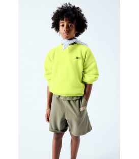 Sweatshirt Izubird Cedre Vintage 