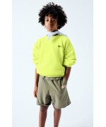 Sweatshirt Izubird Cedre Vintage 